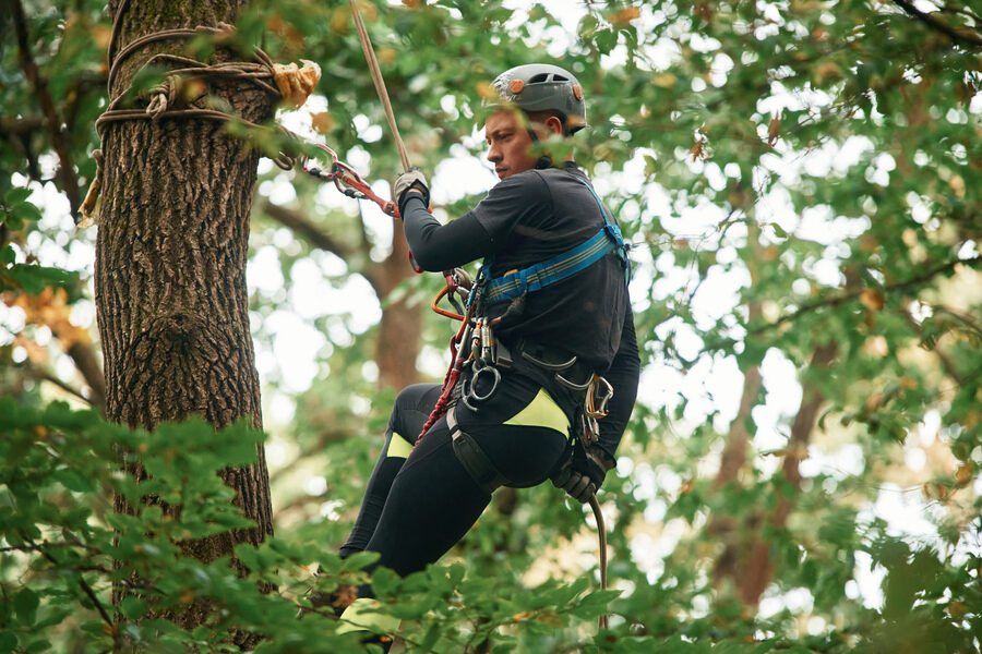Extreme sports, high up. Man is doing climbing in the forest by use of safety equipment